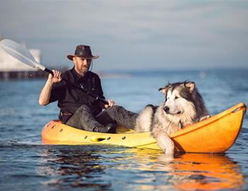 Eastbourne Kayak and Surf